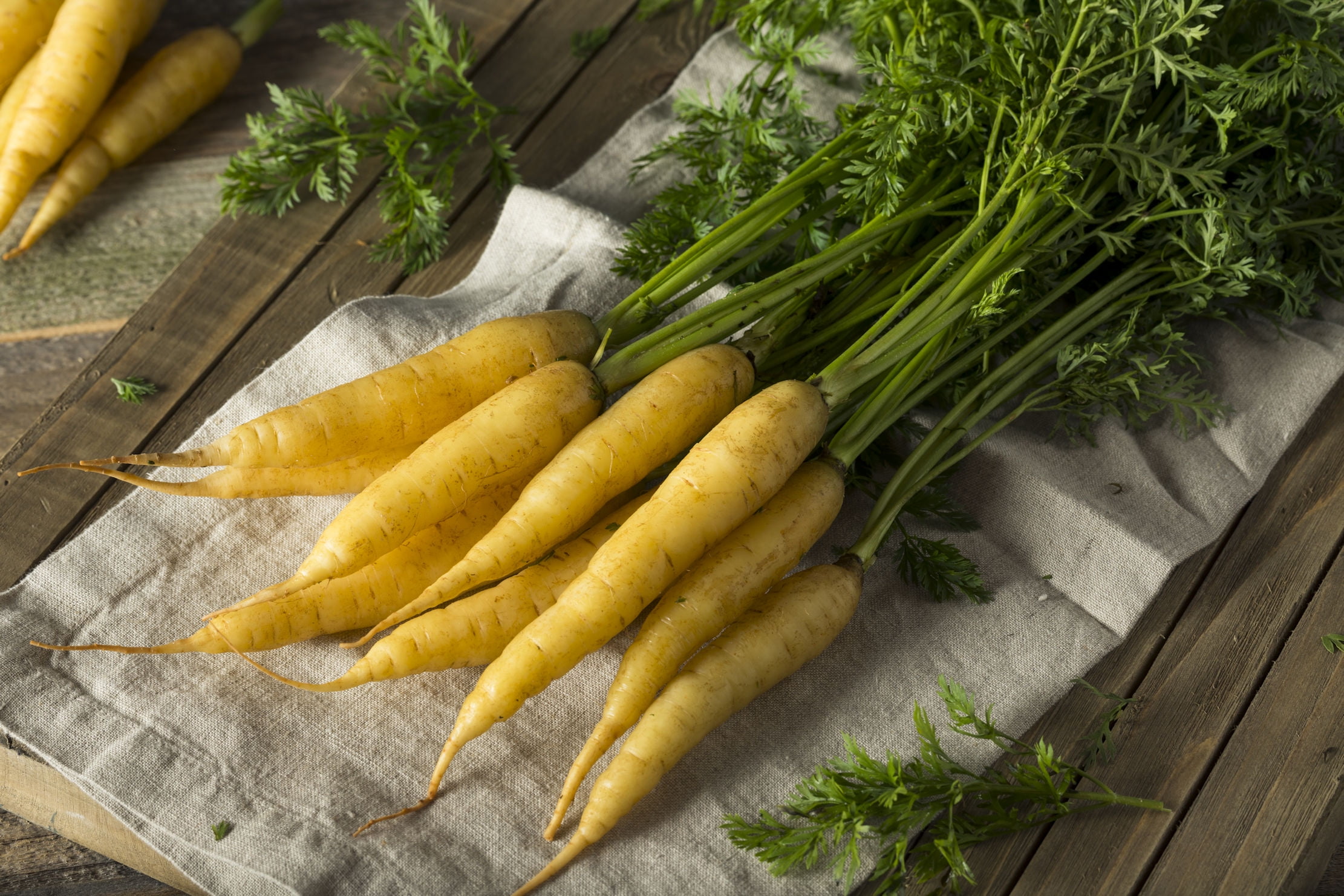 Yellow Carrot